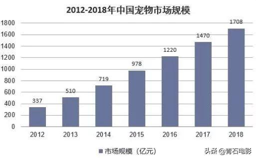 首播8.4分！国内首档宠物医疗观察真人秀，暖心又治愈