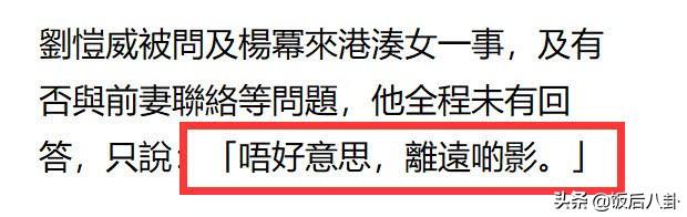 刘丹接受采访避谈杨幂，爆料小糯米5岁生日会全由刘恺威一手操办