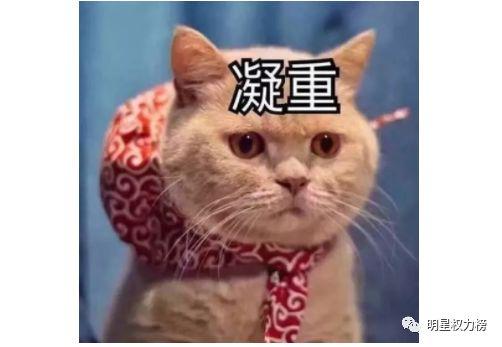 炒作无下限，简直猪队友