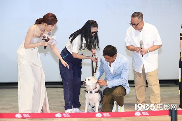 《小Q》首映梁咏琪杨采妮感动落泪 任达华递纸巾