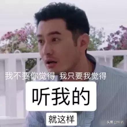 秦海璐为何敢“独杠”黄晓明？