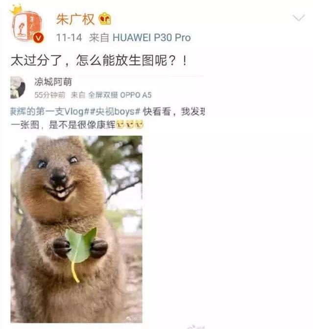 撒贝宁当爸爸了！儿女双全，一对混血龙凤胎