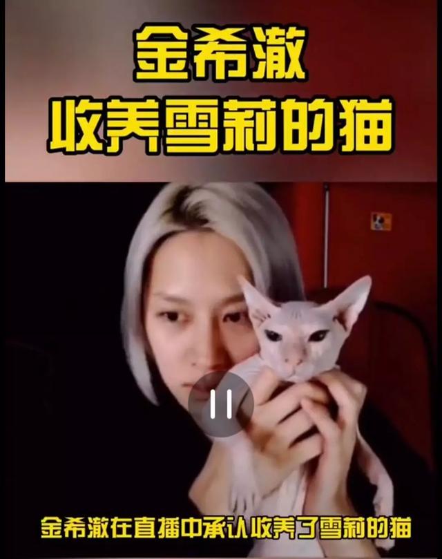 金希澈收养了雪莉的猫，沈昌珉恋爱了，韩娱圈跨年很热闹