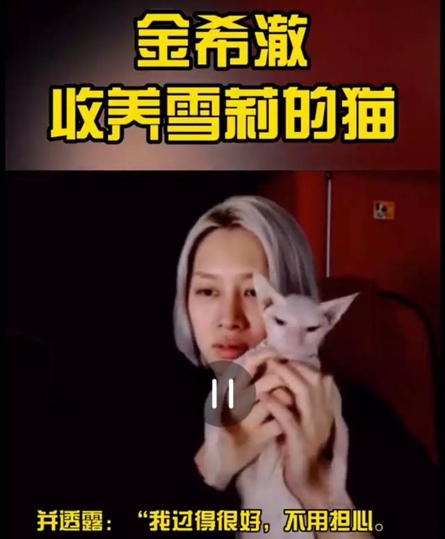 金希澈收养了雪莉的猫，沈昌珉恋爱了，韩娱圈跨年很热闹