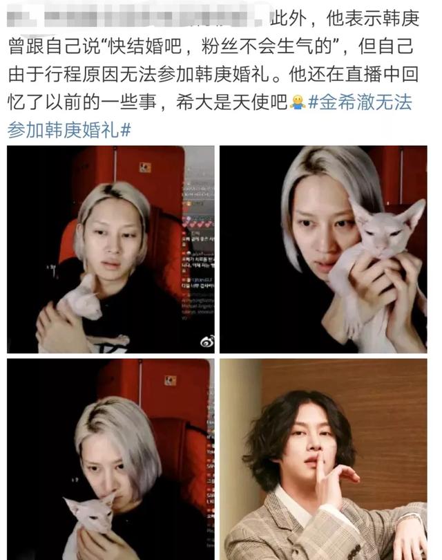 金希澈收养了雪莉的猫，沈昌珉恋爱了，韩娱圈跨年很热闹