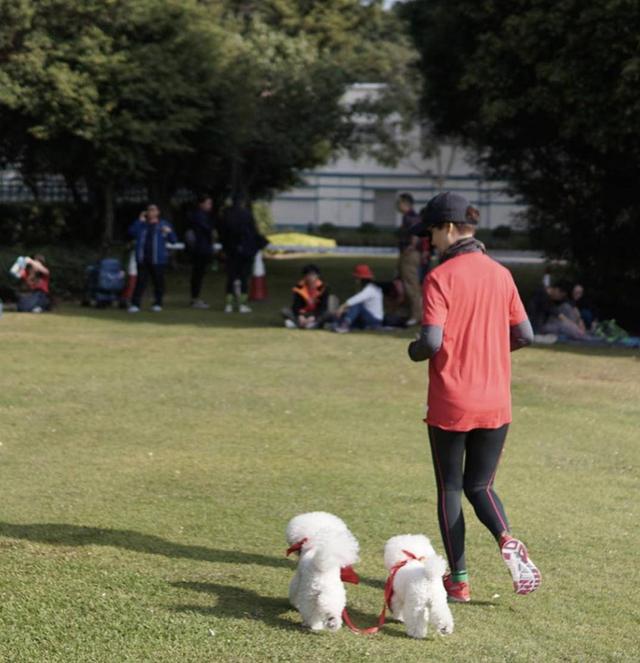 香港全城狗狗行善日聚集不少爱狗人士 圈中众多明星参加筹集善款