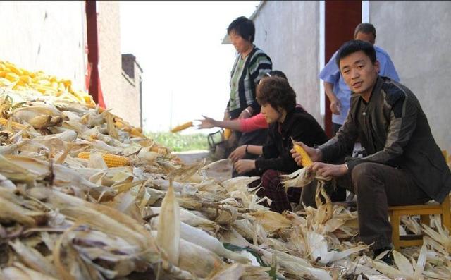 沈梦辰在老家大摆筵席，欧阳娜娜祭祖拉横幅，他们是全村的骄傲