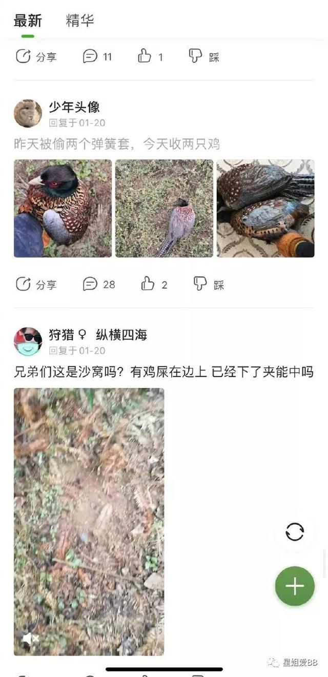 她们居然都在节目中被强迫吃蝙蝠？