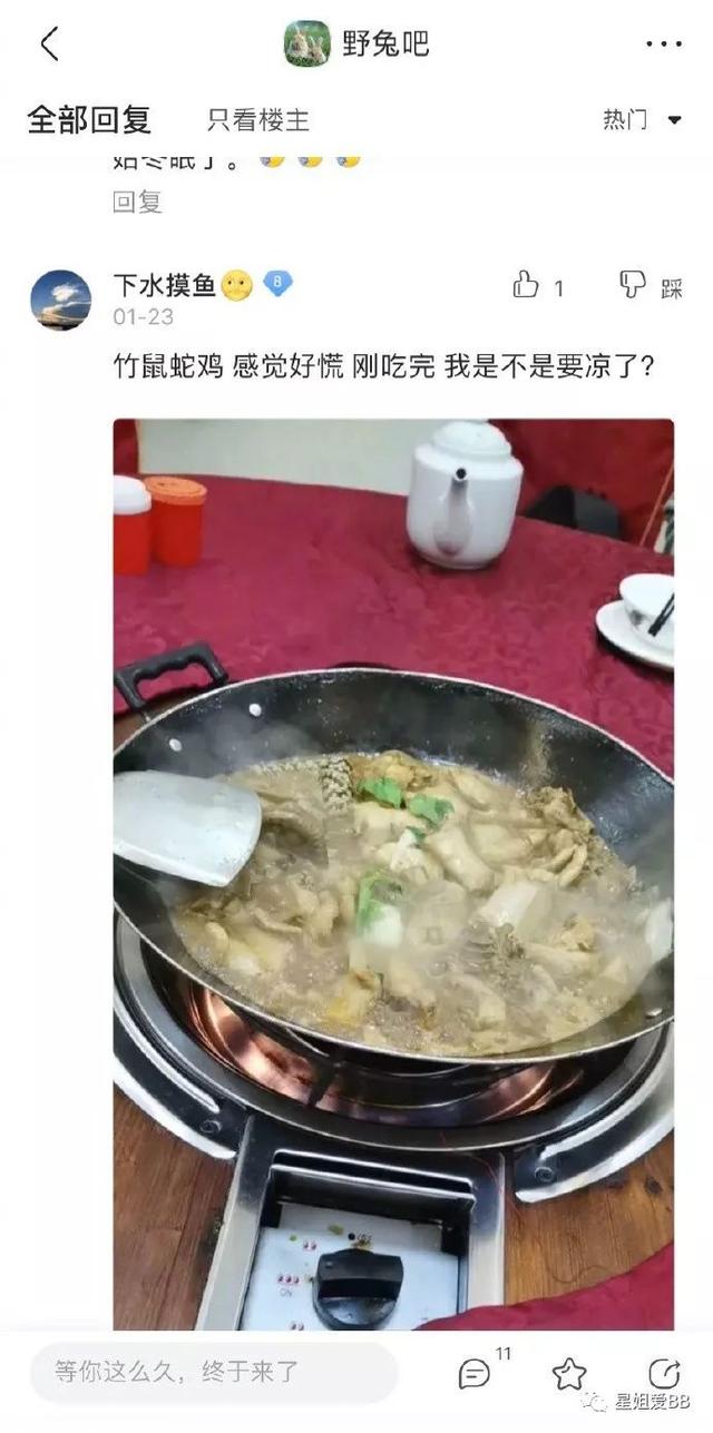 她们居然都在节目中被强迫吃蝙蝠？