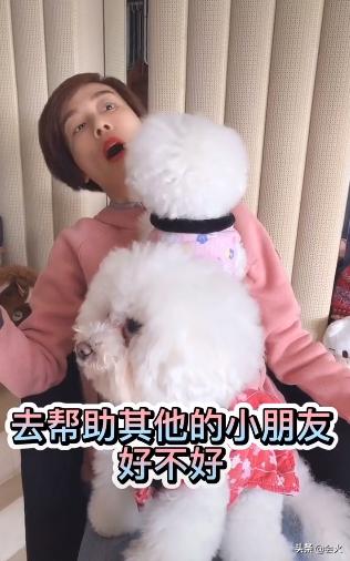 人不如狗？江美仪爱犬过年收上千元红包，张张都是百元大钞