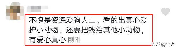 人不如狗？江美仪爱犬过年收上千元红包，张张都是百元大钞