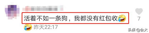 人不如狗？江美仪爱犬过年收上千元红包，张张都是百元大钞