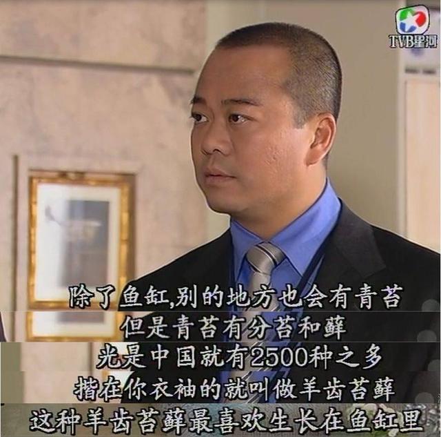 《法证先锋4》再破TVB收视纪录，评分跌到6.1，港剧还能不能打？