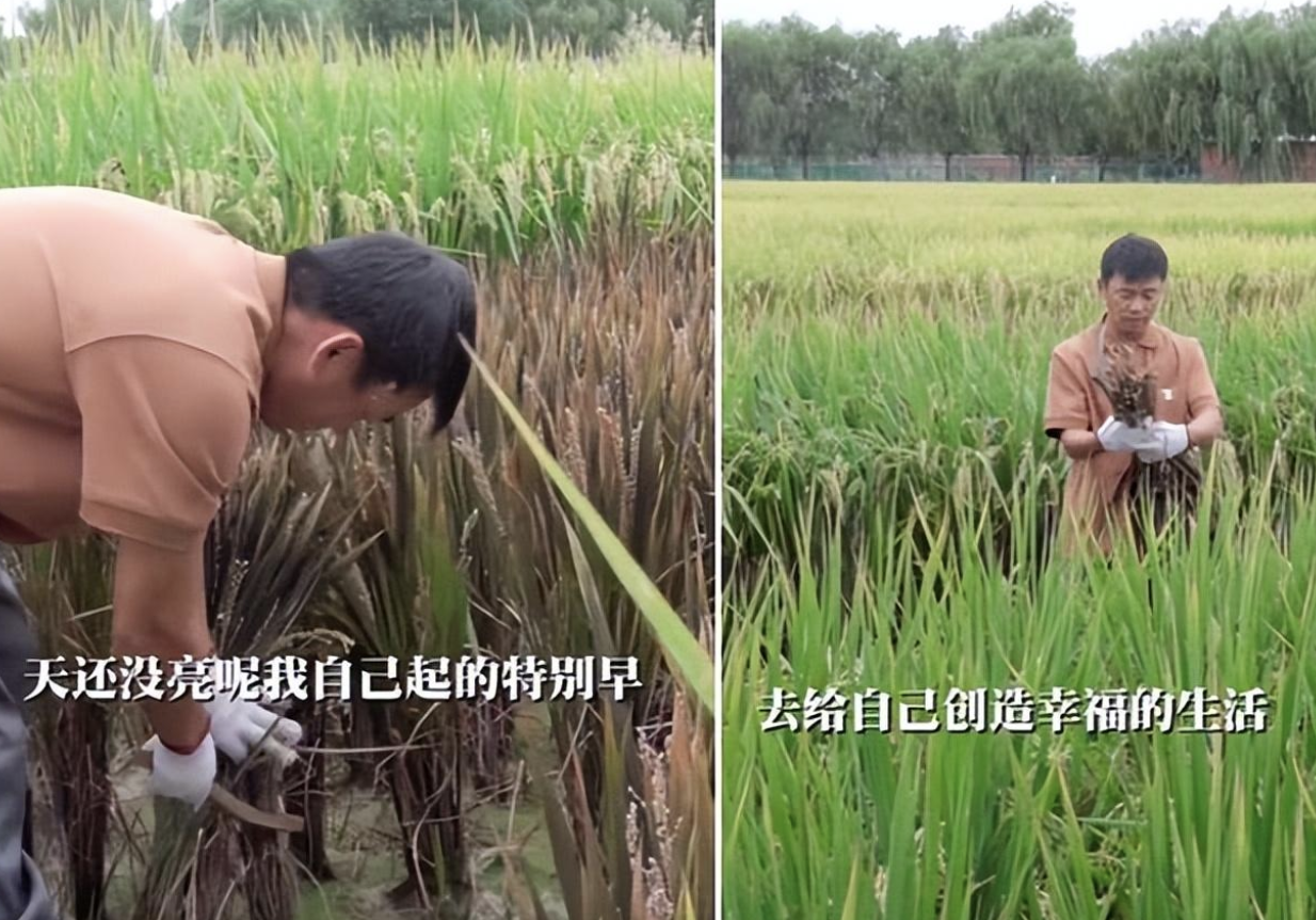 王宝强和友人喝茶热聊！大口抽雪茄吞云吐雾，跷二郎腿打扮儒雅