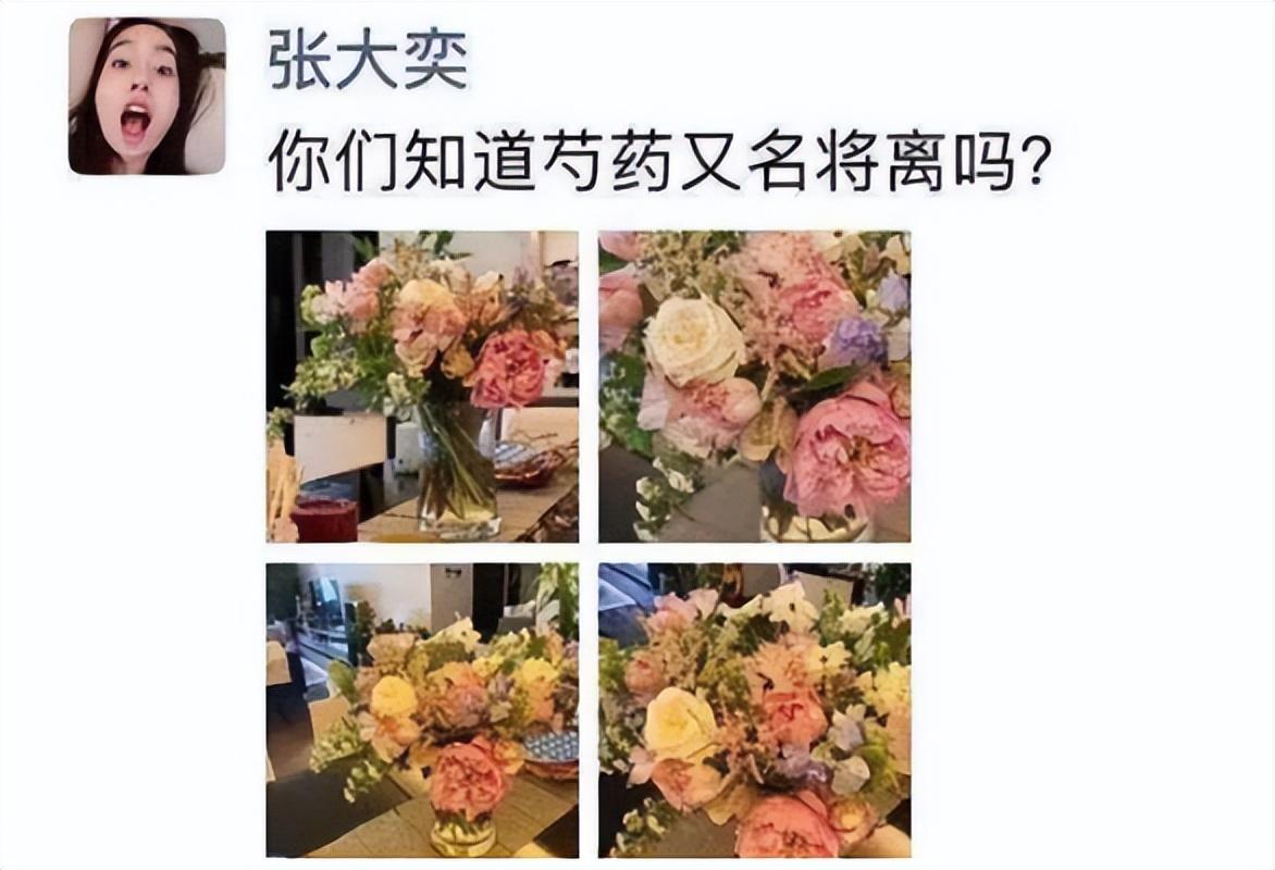 张大奕订婚，未婚夫是房地产富二代，蒋凡被甩了？