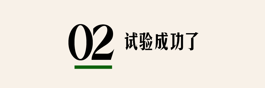 高叶说，性感的大脑更重要