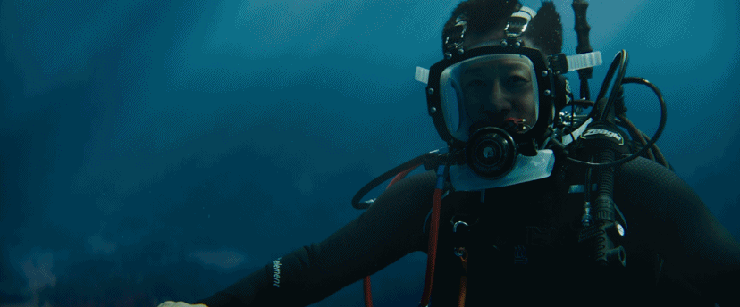 吴京《巨齿鲨2》定档，上影节展映《瞬息全宇宙》