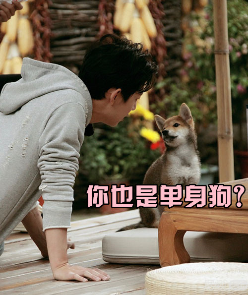 43岁的何炅首次否认结婚 多年来的神秘女友和性取向成未解之谜