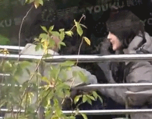 蒋欣前男友叶祖新新恋情曝光 女方为“温太医”外甥女张佳宁 蒋欣前男友叶祖新新恋情曝光 女方为“温太医”外甥女张佳宁