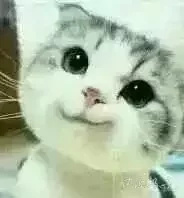 《越野千里》柳岩比基尼湿身戏水，抱怨没人追