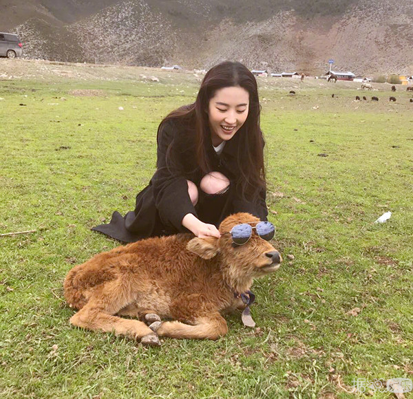 《欢乐颂2》里的"关关"扮演者乔欣，现实中的她却有着两副面孔