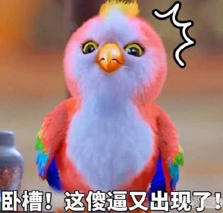 这个笑容迷人痞帅的单眼皮男生 不仅迷倒周冬雨还公然撩赵丽颖