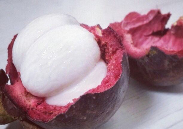 调皮的明星还有谁？陈伟霆、张艺兴、薛之谦，三大道具破坏王果然名不虚传