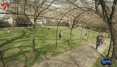 什么？郑元畅隐婚生子，还有个那么大的女儿了？