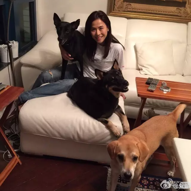 她曾是张卫健最爱的女人，47岁依然未嫁却活成了20岁的样子！