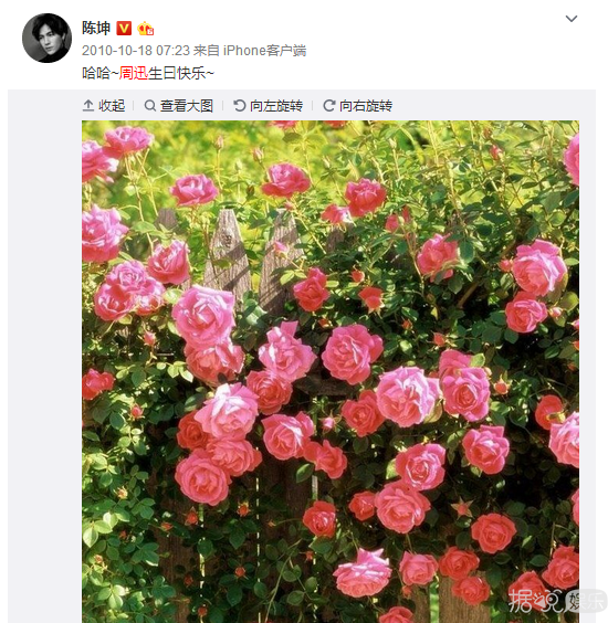买房买一起、互相为对方宣传，真要给陈坤周迅的友谊跪了