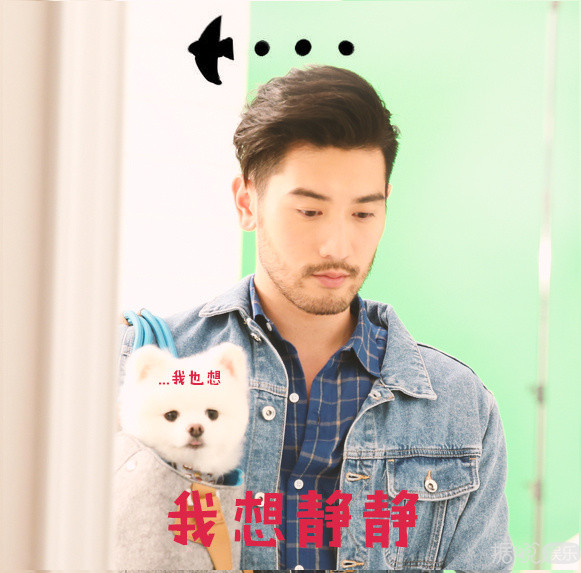 最萌身高差拍戏有多难？看胡歌、高以翔、胡一天的遭遇就知道了