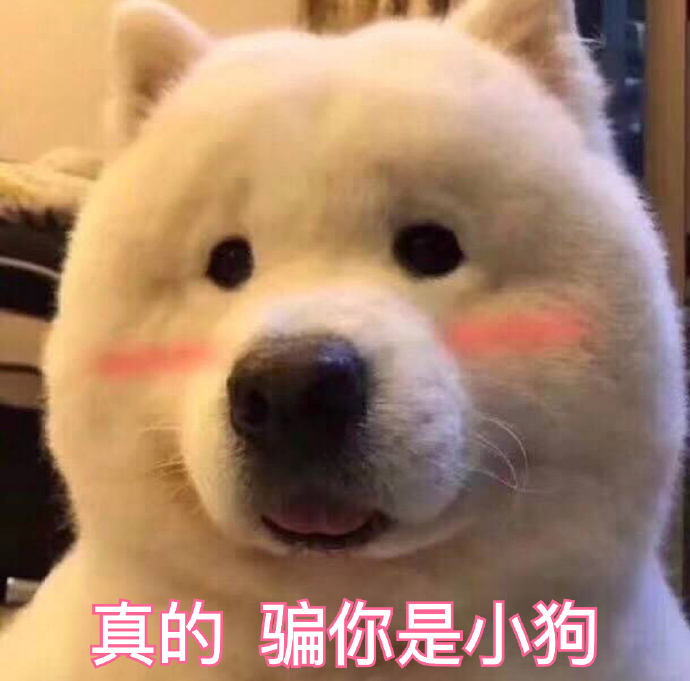 跟他合照就一定会怀孕,转发锦鲤都没这么灵啊! 跟他合照就一定会怀孕,转发锦鲤都没这么灵啊!