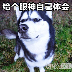 同样是捡垃圾,为什么陈伟霆获赞无数,她却被喷得体无完肤? 同样是捡垃圾,为什么陈伟霆获赞无数,她却被喷得体无完肤?