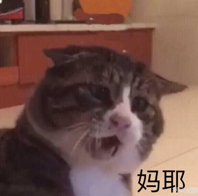 跟他合照就一定会怀孕,转发锦鲤都没这么灵啊! 跟他合照就一定会怀孕,转发锦鲤都没这么灵啊!