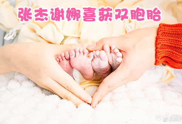 张杰谢娜的双胞胎女儿都出生了，双方粉丝竟然还在互撕？