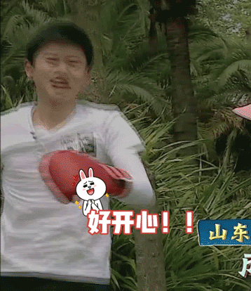 张杰谢娜的双胞胎女儿都出生了，双方粉丝竟然还在互撕？