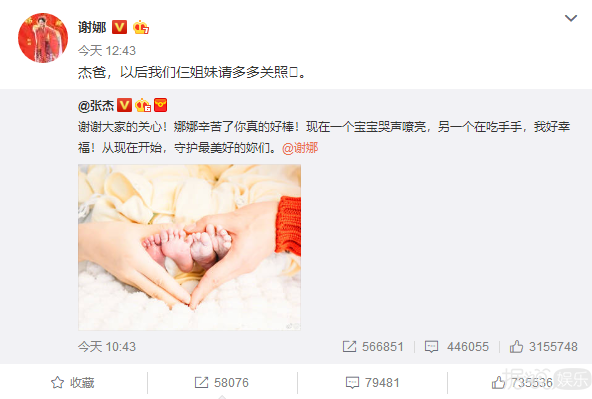 张杰谢娜的双胞胎女儿都出生了，双方粉丝竟然还在互撕？