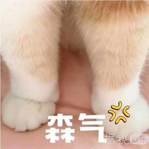 爱豆迷上空降粉丝聊天群，但一言不合就被踢是什么情况？