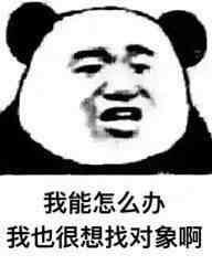 若说万年修得黄磊,那么亿年才能修得霍启刚 若说万年修得黄磊,那么亿年才能修得霍启刚