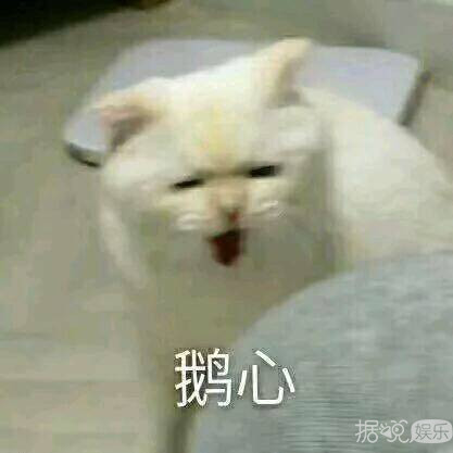 从人人羡慕的白富美到全网嘲,王文也是怎么一步步把路人缘作没的 从人人羡慕的白富美到全网嘲,王文也是怎么一步步把路人缘作没的