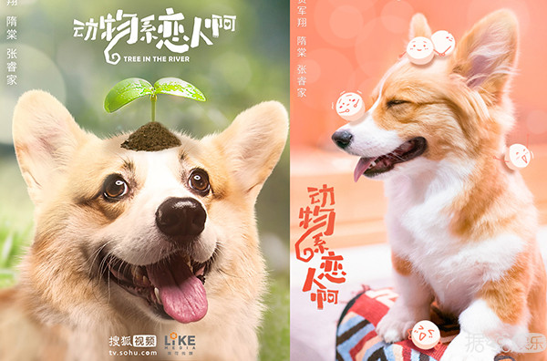 同房算时间，让老婆跟朋友睡，贺军翔新电视剧毁三观