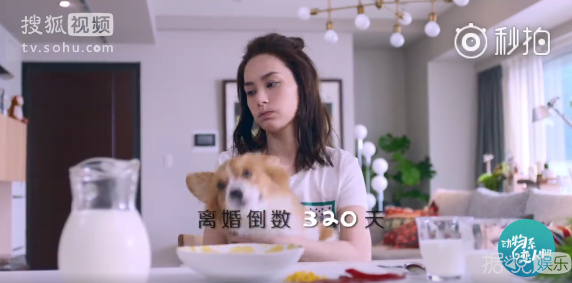 同房算时间，让老婆跟朋友睡，贺军翔新电视剧毁三观