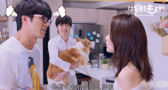 同房算时间，让老婆跟朋友睡，贺军翔新电视剧毁三观