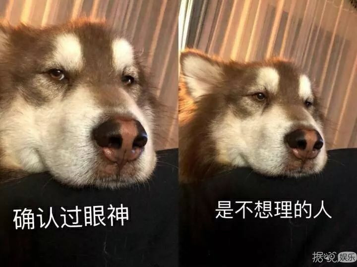 追星就追星吧,你们能不能不要搞得跟地下党一样啊??? 追星就追星吧,你们能不能不要搞得跟地下党一样啊???