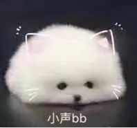 追星就追星吧,你们能不能不要搞得跟地下党一样啊??? 追星就追星吧,你们能不能不要搞得跟地下党一样啊???