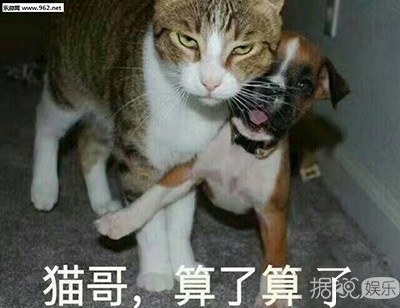 头围都是61cm,难道刘昊然长大后就成了雷佳音? 头围都是61cm,难道刘昊然长大后就成了雷佳音?