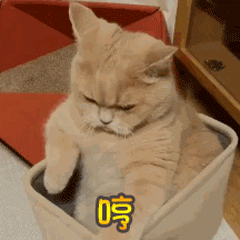 林更新是叔叔，蒋梦婕是阿姨，王俊凯和易烊千玺你们有点皮哦