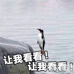 打开戚薇的冰箱，我感受到了明星和普通人的差距