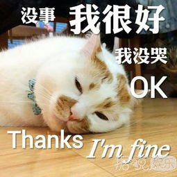 打开戚薇的冰箱，我感受到了明星和普通人的差距