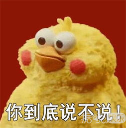 万万没想到我看个催泪节目，却笑出了猪叫